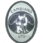 A.S.D. Cambiano United
